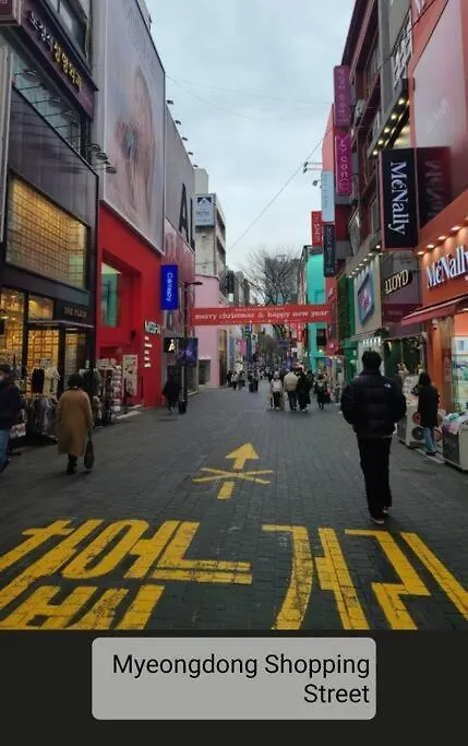 Apartment Palmtree Villa Myeongdong 201 Seoul